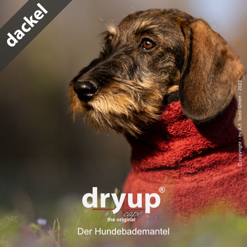 Dryup Cape Dackel - Hey MinoActionfactory